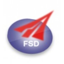FSD Motor